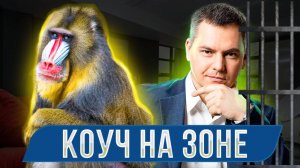 За что сидел инфоцыган, который учит успешному успеху?