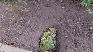 Не стОит оставлять в зиму грядки нерабочими #огород