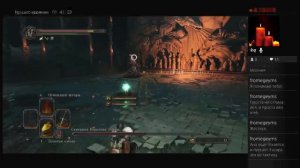 Dark Souls 2 Скверная королева Элана