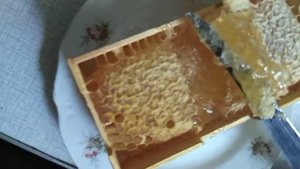 Рамки для сотового меда. Мёд в сотах - полезное питание. Очень вкусно и полезно.