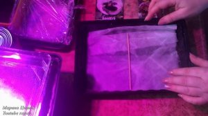 Выращиваем ВИОЛУ ! Легко !!!