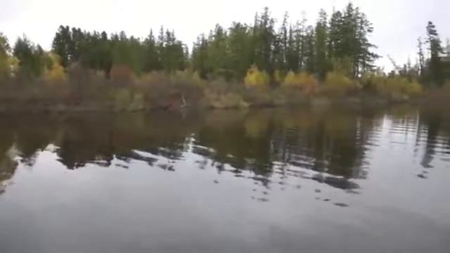 Ловля тайменя, ленка, щуку и окуня на спиннинг