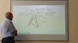 Гистология. Пищеварительная система. Зубы + Слюнные железы.