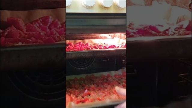 ВЯЛЕНЫЕ ПОМИДОРЫ С ПРОВАНСКИМИ ТРАВАМИ