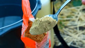 Я ВСЕГДА ПОБЕЖДАЮ В БОРЬБЕ С ТЛЕЙ И КЛЕЩОМ НА ОГУРЦАХ! БЕЗОПАСНЫЕ СПОСОБЫ ОБРАБОТКИ!