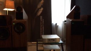 MHES 2019. Apson Lab. Электроакустическая обратная связь (ЭАОС)