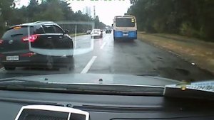 Олень на встречке, Киев. KIA АА1737КР