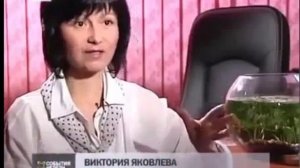 Вред фосфатов в стиральном порошке