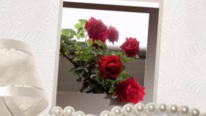 Сарвара с днем рождения!