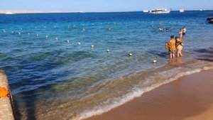 Отель Seagull. Обзор территории и пляжа. All inclusive - Не "все включено"?
