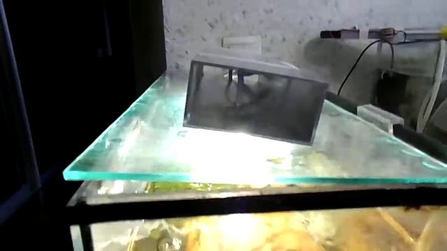 Фиксаторы для крепления покровного стекла аквариума в али. смотреть онлайн