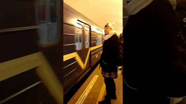 Метро Просвещения, прибытие поезда.