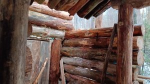 Мой необычный друг встал на защиту лесного дома | Обустройство бани | Бушкрафт | bushcraft.