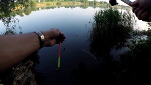 Поплавочная УБИЙЦА КАРАСЯ монтаж снасти на летнюю удочку с скользящим поплавком