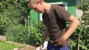 Как вырастить дыню в Беларуси. От посадки семян до сбора урожая. Лучший сорт!