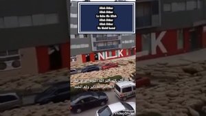 Саудовской Аравии в Маке бараны на Курбан айт.