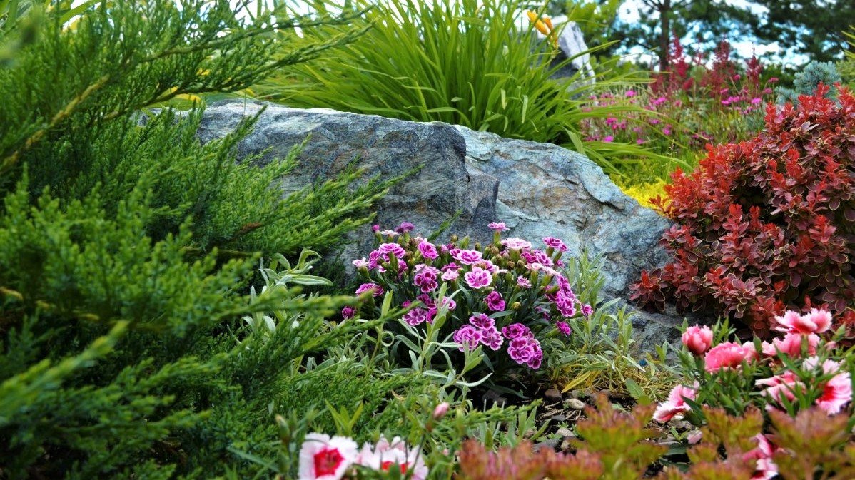 ?Красивый и ухоженный сад Примеры садовых композиций / Examples Of Garden Compositions / A - Video