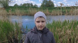 Река Сельдь(Чудеса земли Симбирской)