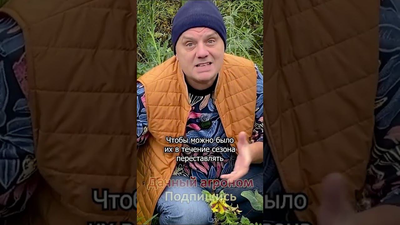 Упаковками покупаем петунии ВОТ почему ПОСТОЯННЫЕ ГРЯДКИ так ПОПУЛЯРНЫ Дачный агроном