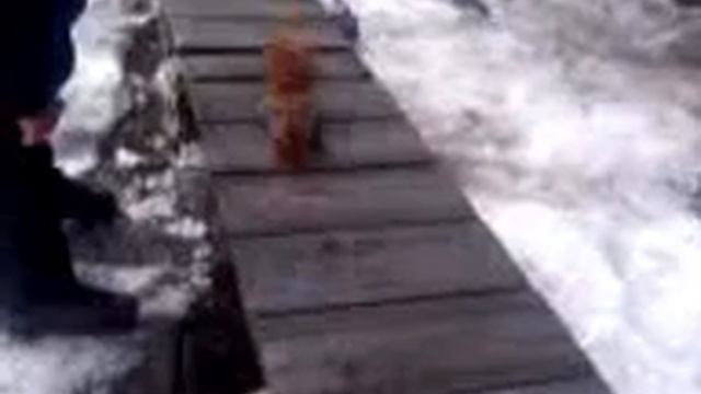 Видео 0007 смотреть онлайн