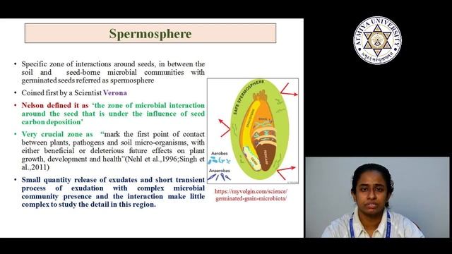 Concept of Phyllosphere and spermopshere смотреть онлайн