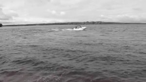 Лодка Диана 3-01 и Tohatsu-50. Сентябрь 2011.