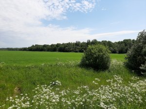 Можно ли быть безгрешным?