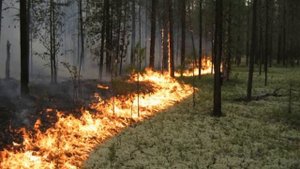 История России для "чайников" - 2 выпуск - Восточные славяне