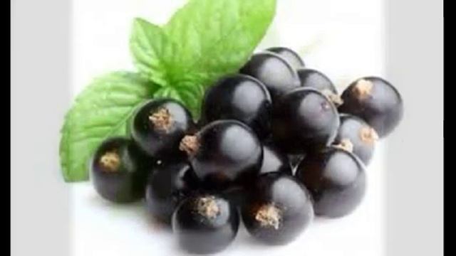 чем полезна чёрная смородина смотреть онлайн