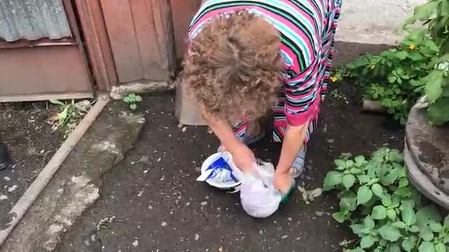 Бабушка травит свою собаку крысиным ядом смотреть онлайн