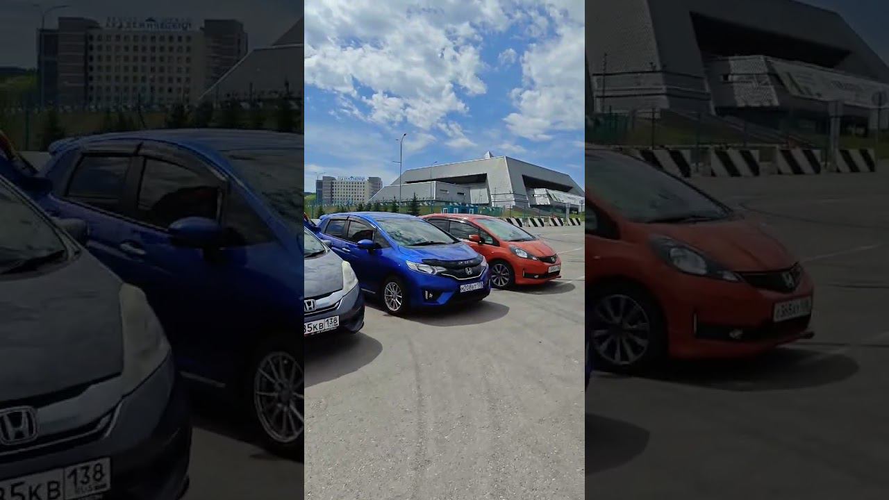 Собрались красавцы!