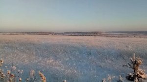 поле.. Великое Поле! Белая Холуница