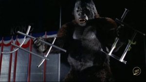 King Kong 1976 : Review ( A So-So Remake)