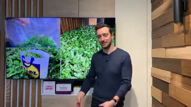 Концепция здоровья CoralClub