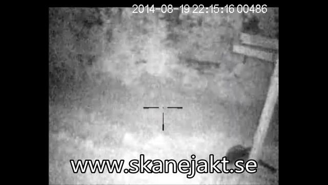 Pulsar Digisight N770 смотреть онлайн