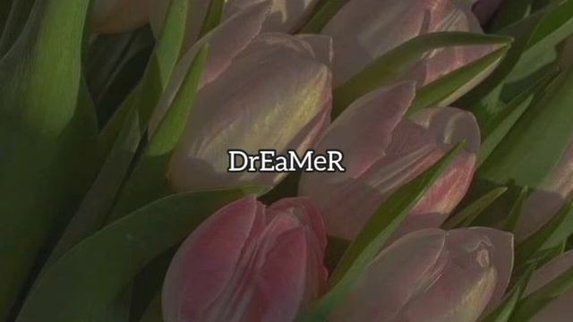 Andro - Как не любить (slowed) смотреть онлайн