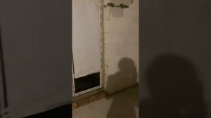 Проверка тёплого пола с помощью тепловизора, после запуска пола прошло 24 часа