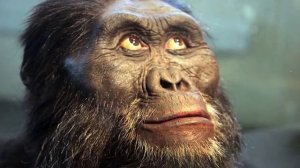 ПОЛНАЯ ИСТОРИЯ ЗЕМЛИ. ЭВОЛЮЦИЯ ЧЕЛОВЕКА