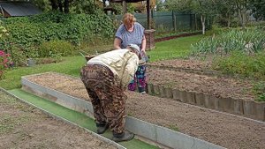 Готовим грядки к следующему сезону, улучшаем плодородие почвы 9