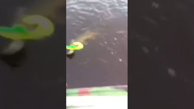 Р.Печора,Щука,Нарьян-Мар, гигантский твистер ,2015 смотреть онлайн