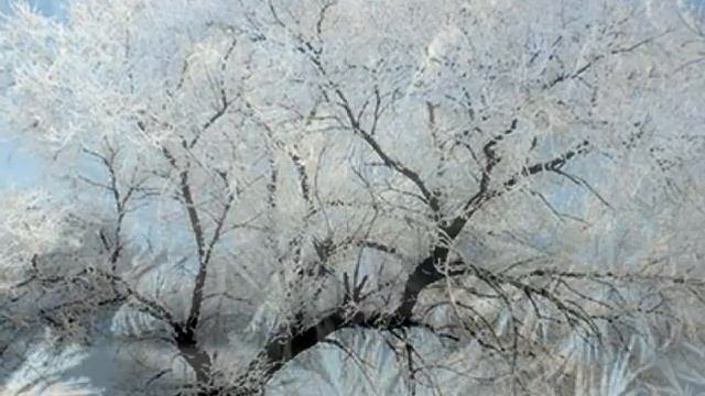 Иней или изморозь