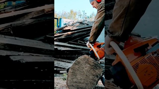 Taiga 214 chainsaw at work 🔥⚙️