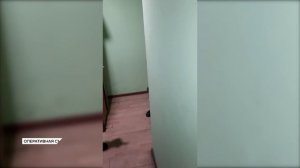 За нарушение миграционного законодательства иностранцы в Приамурье заплатили более 20 млн рублей штр