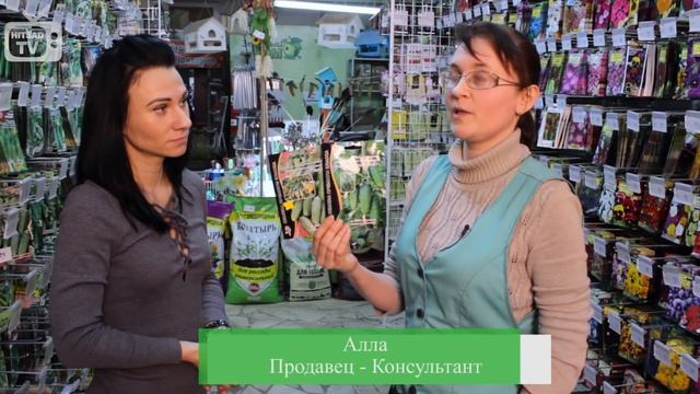 Суперпучковые гибридные огурцы ☆ Урожайные семена ☆уральский дачник