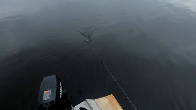 РЫБАЛКА НА ПРОДОЛЬНИКИ \ БЫВАЮТ И ТАКИЕ ПРОВЕРКИ смотреть онлайн