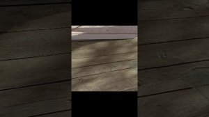 Я запутался какая-то часть но найдёте
