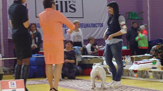 ЗВЁЗДНАЯ МАГИЯ ЛЕОНСИЙ - смотреть онлайн