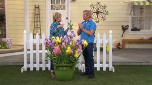 Cottage Farms 3-piece Reblooming Spring & Autumn Iris Collection with Carolyn Gracie