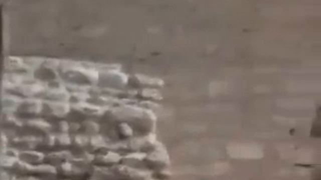 Crazy Prophets - Monty Python Style смотреть онлайн