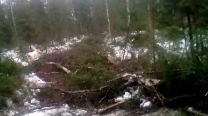 начинаем пилить новую делянку